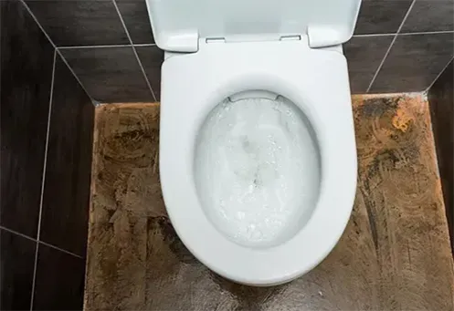 Desentupimento de Vaso Sanitário em Poá